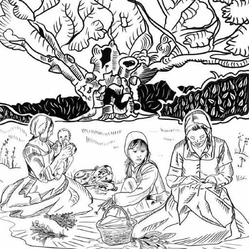 Illustration by artist Alison Tew, used on the trail pamphlet which is designed by Gemma Garwood