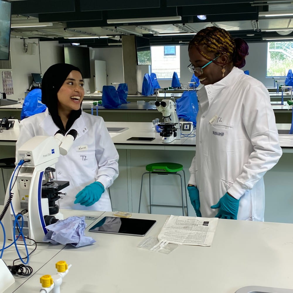 Students in lab at summer school
