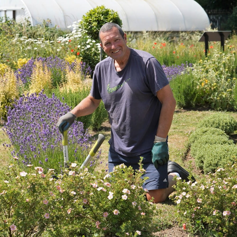 A volunteer for Trustlinks