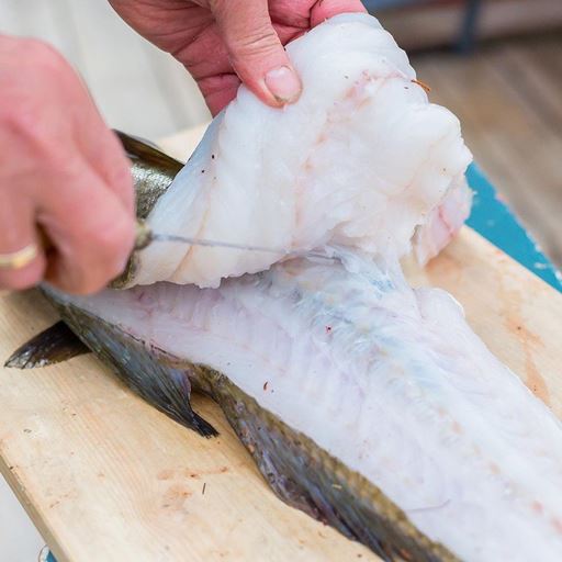 Person filleting white fish
