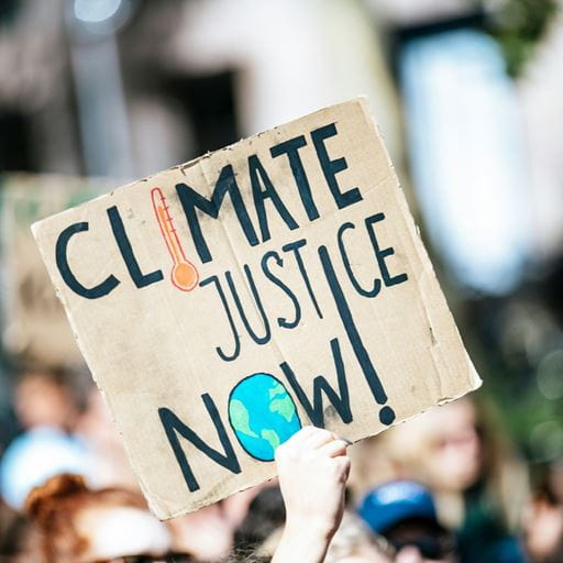 LLM Law, Environment and Sustainability
