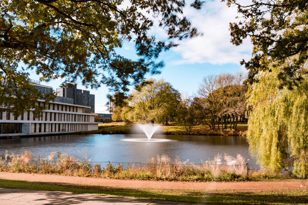 My Essex Clearing journey: a fresh start into a new adventure