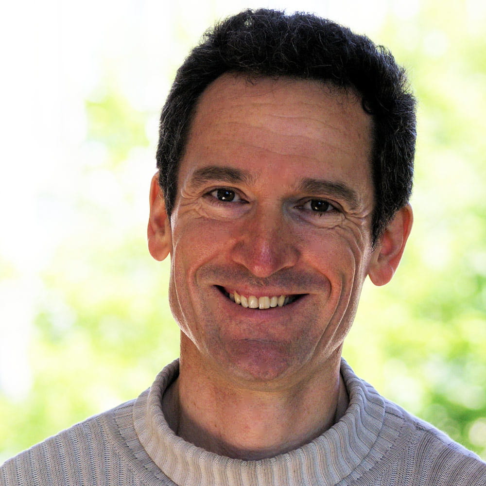 Professor Peter Lynn