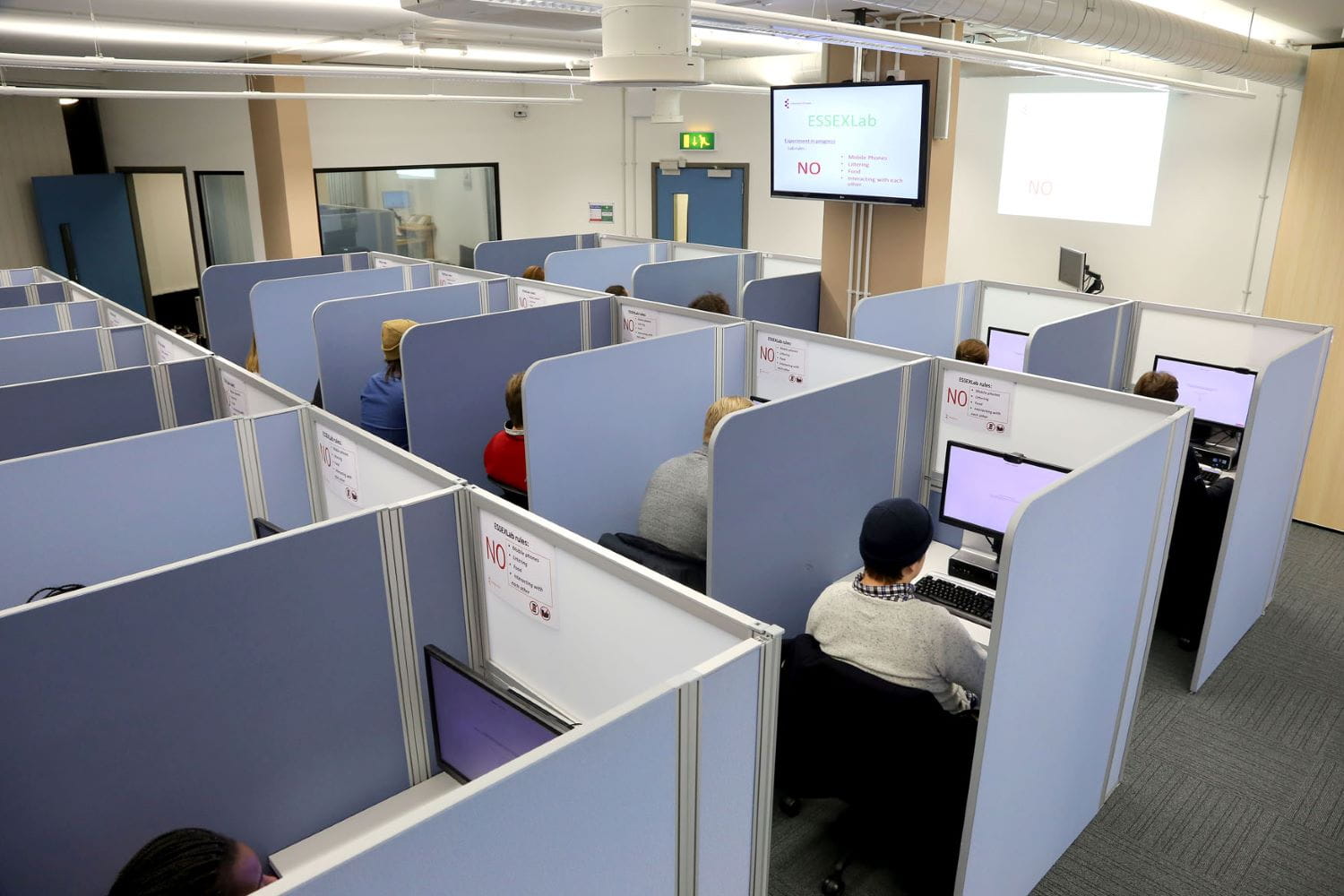 Students using computers in cubicles