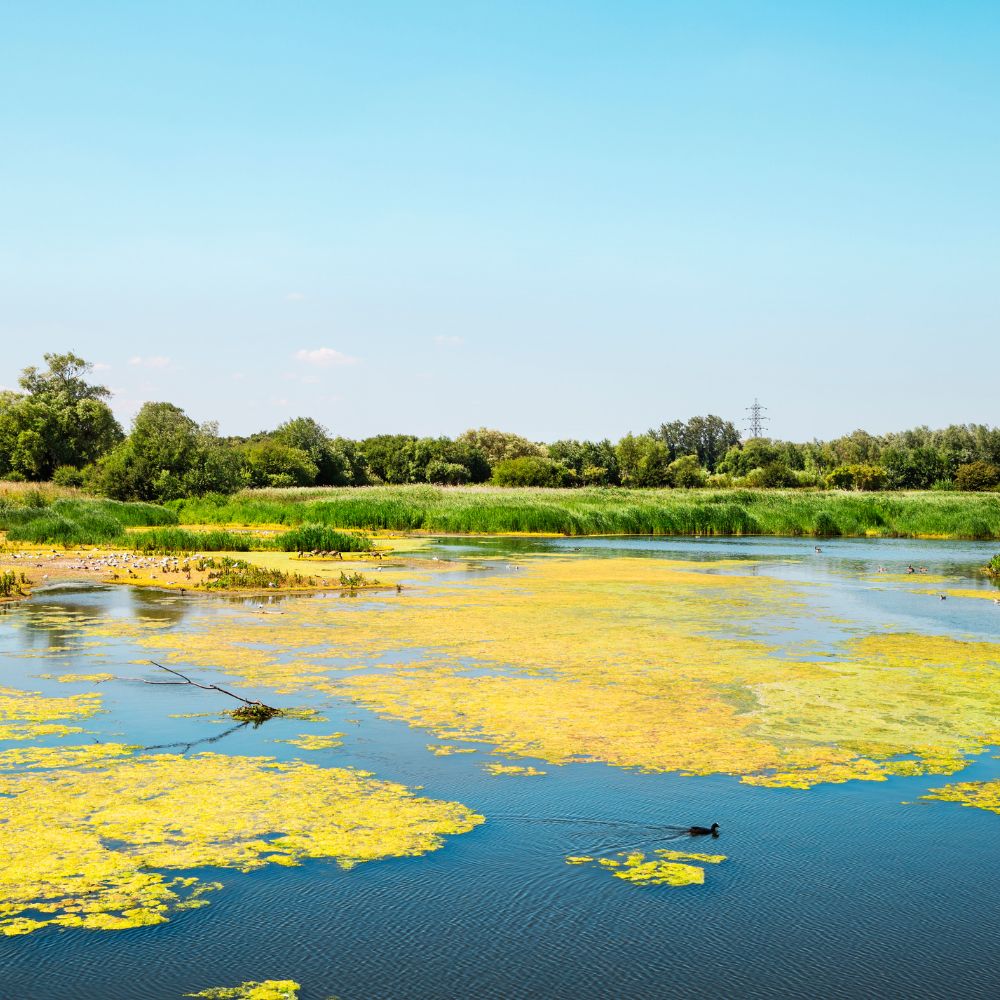 General view of a lake on a sunny day in the UK