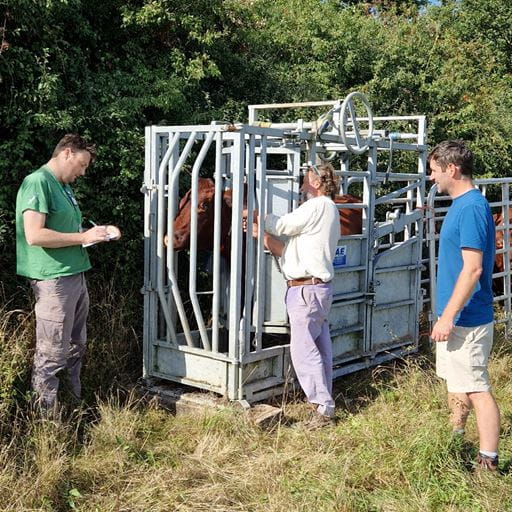 Photo shows Professor Edd Codling working with partners in Highwoods on their project tracking cows