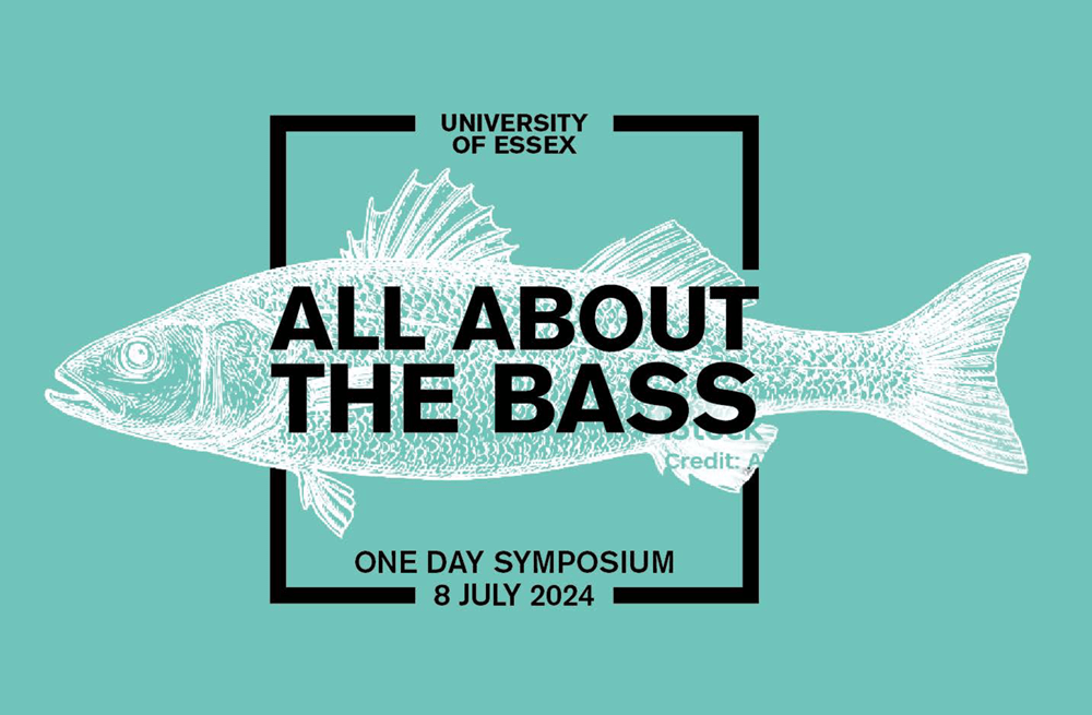 All about the bass