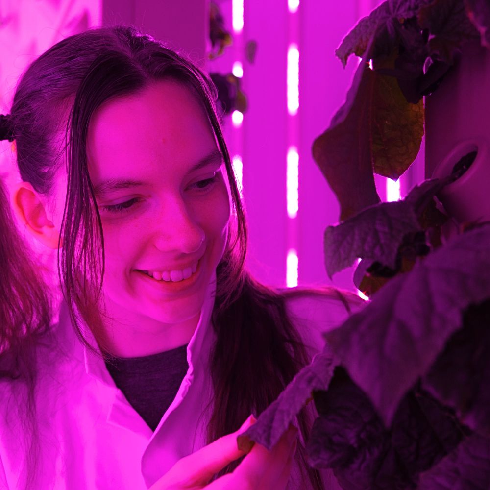 Global sustainability student Kaitlin Campbell, 21, examines a leaf in the vertical farm.