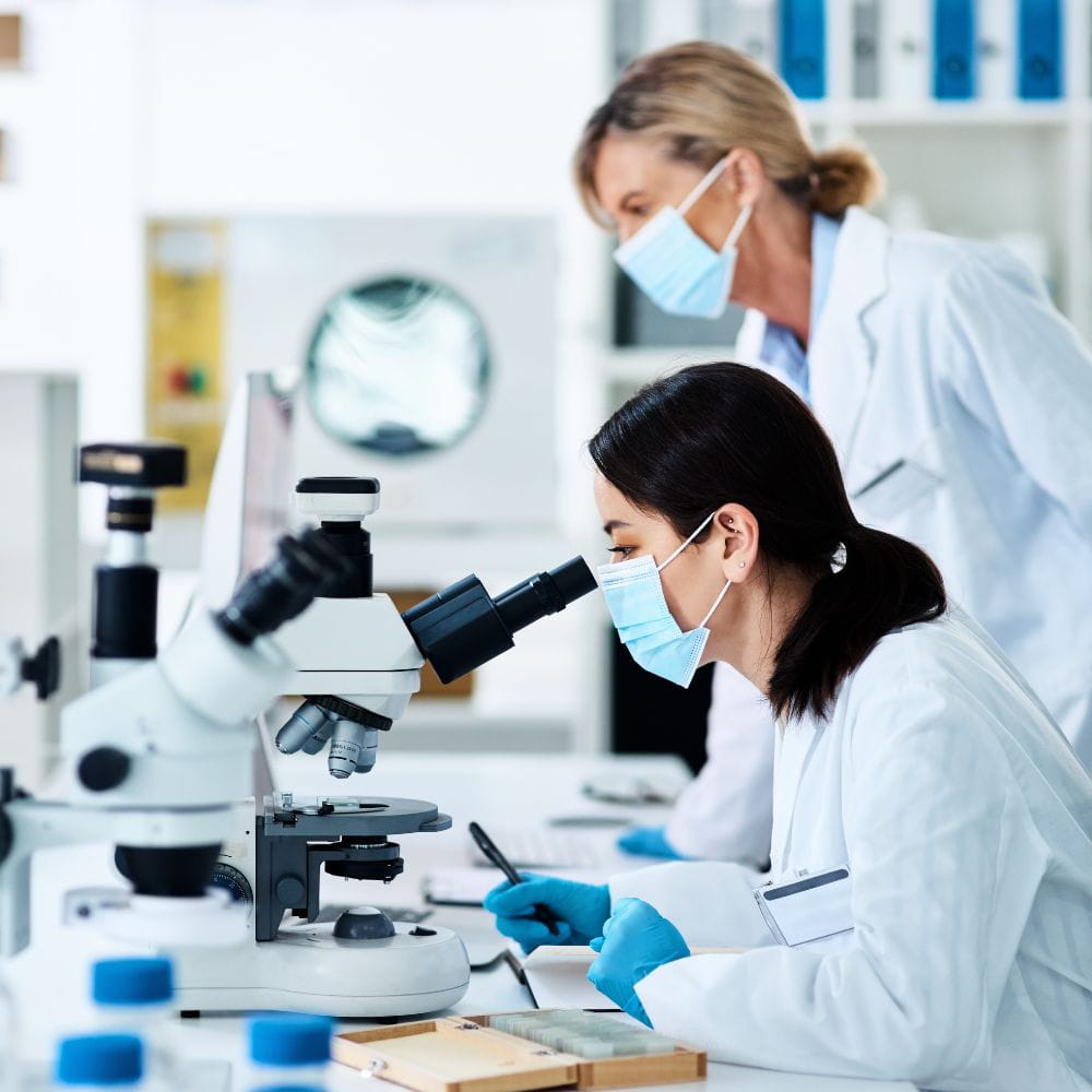 Researchers looking through a microscope