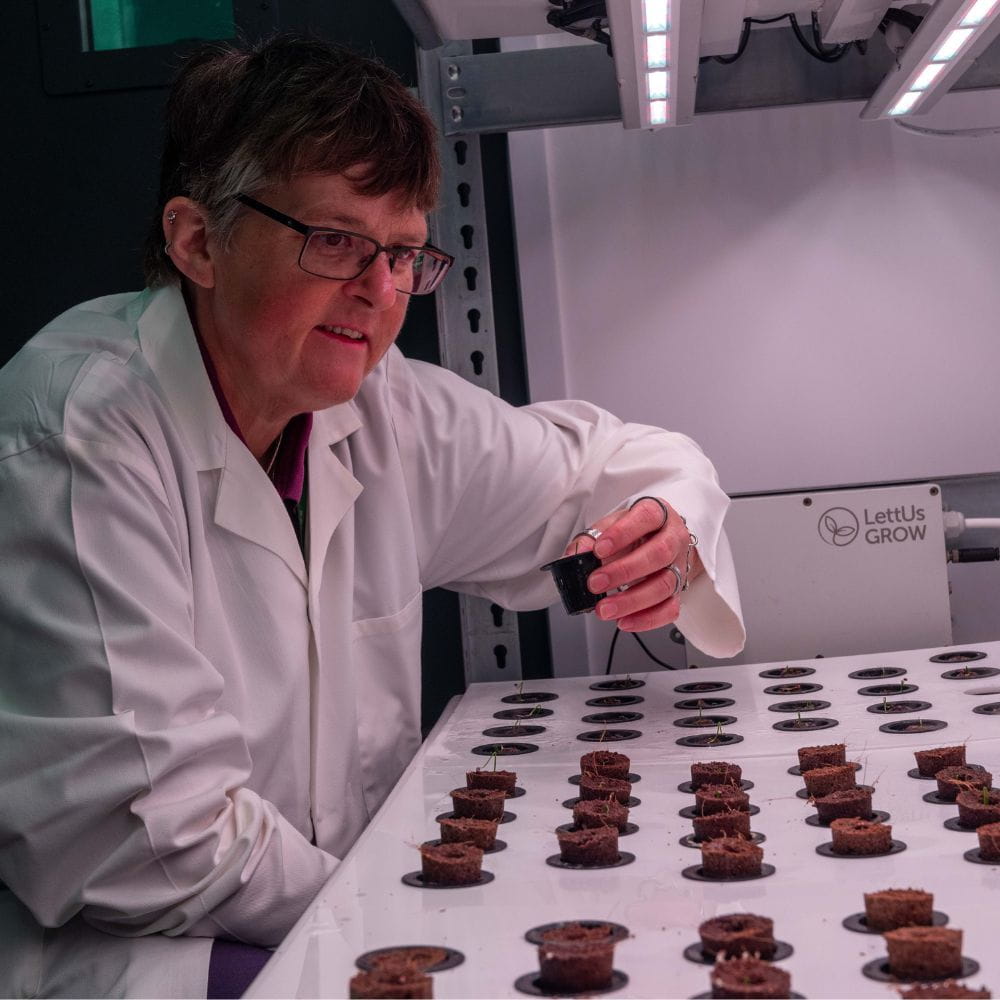 Professor Tracy Lawson at  STEPS Lab