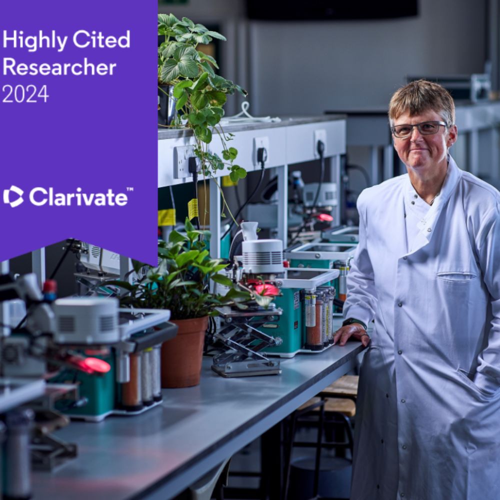 Professor Tracy Lawson 