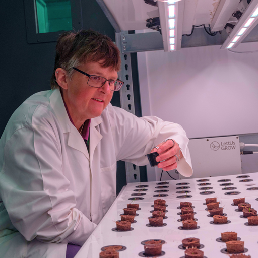 float r function at tracy lawson blog Images High... Essex to sow the seeds of onion farming's future | University of Essex