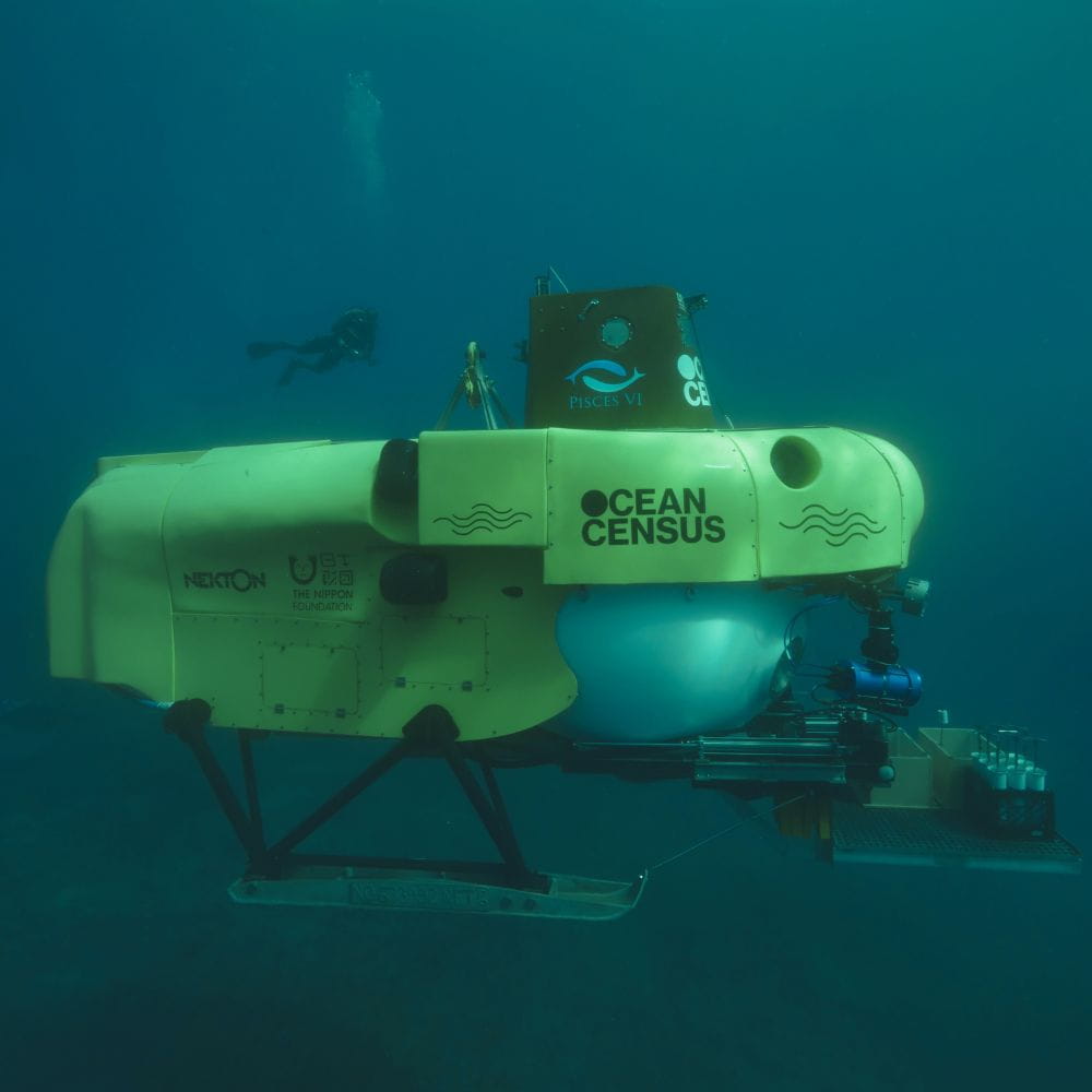 A diver next to a submarine 