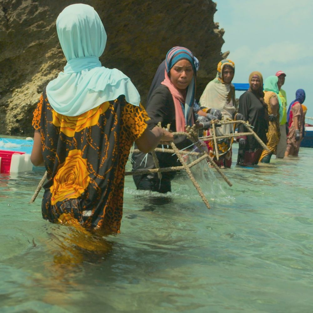 A still from the film