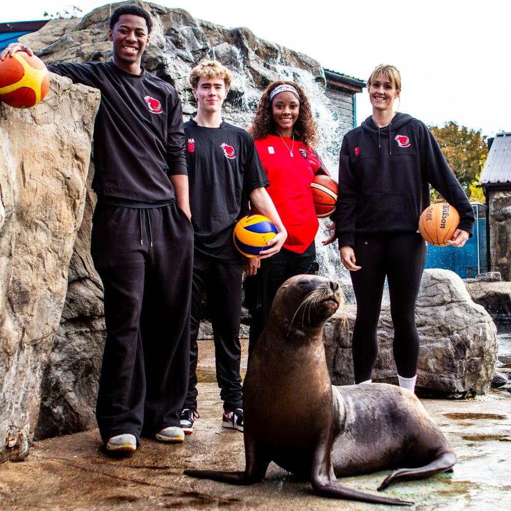 The Essex Rebels with Sydney the Patagonian sealion 