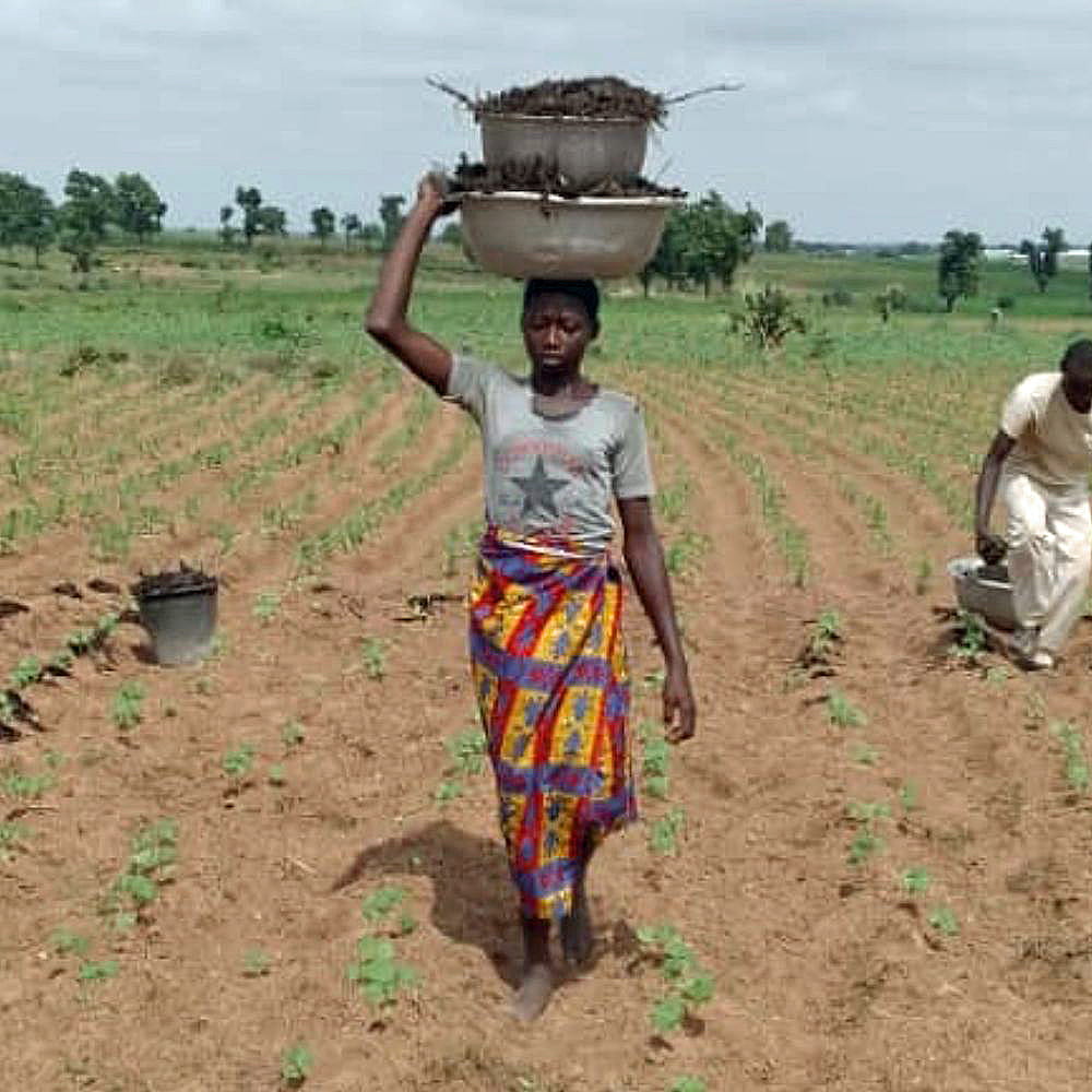 Female Togo farmer walking in field holding baskets on her head