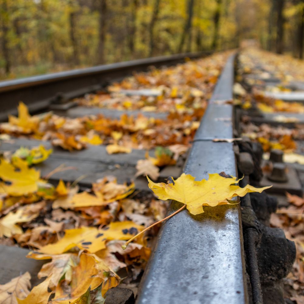 Close up of an autumnal looking leaf lying on a railway track