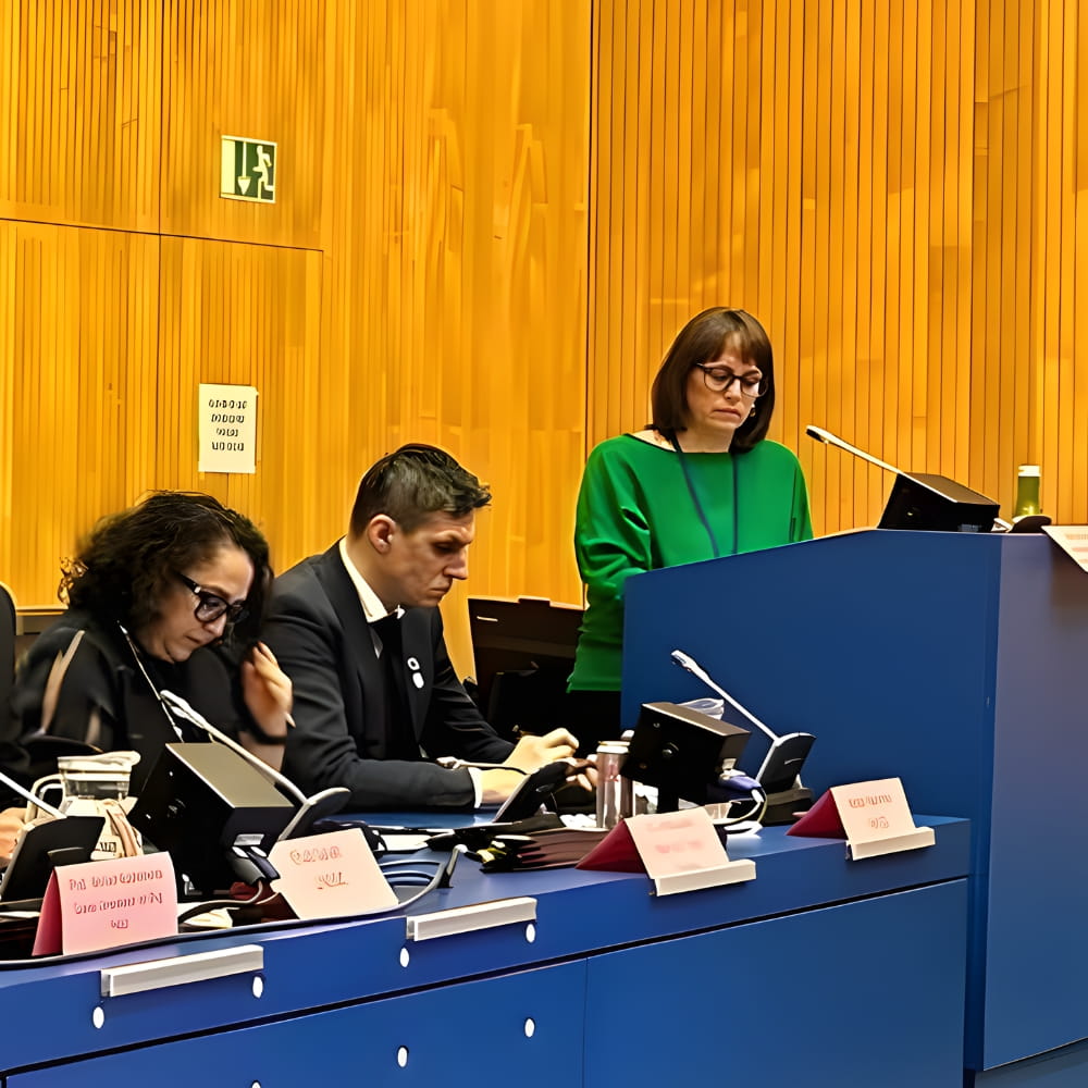 Julie Hannah talking at an event at the UN 