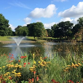 Wivenhoe Park in the summer
