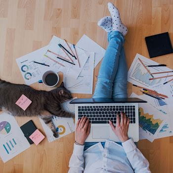 person working with laptop and cat