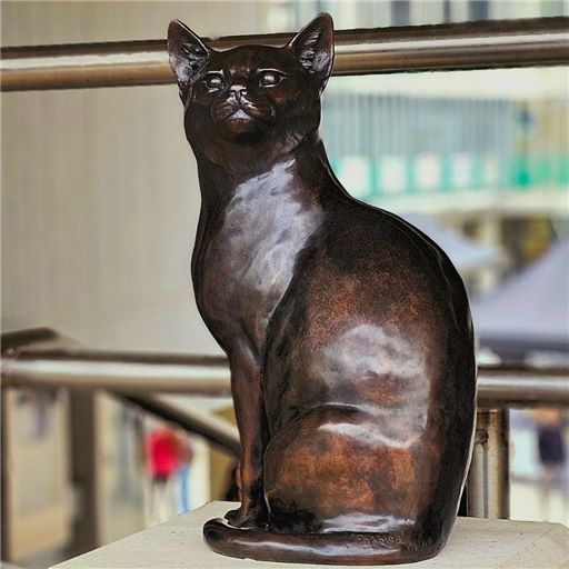 Statue is 'purr-fect' tribute to our Campus Cat