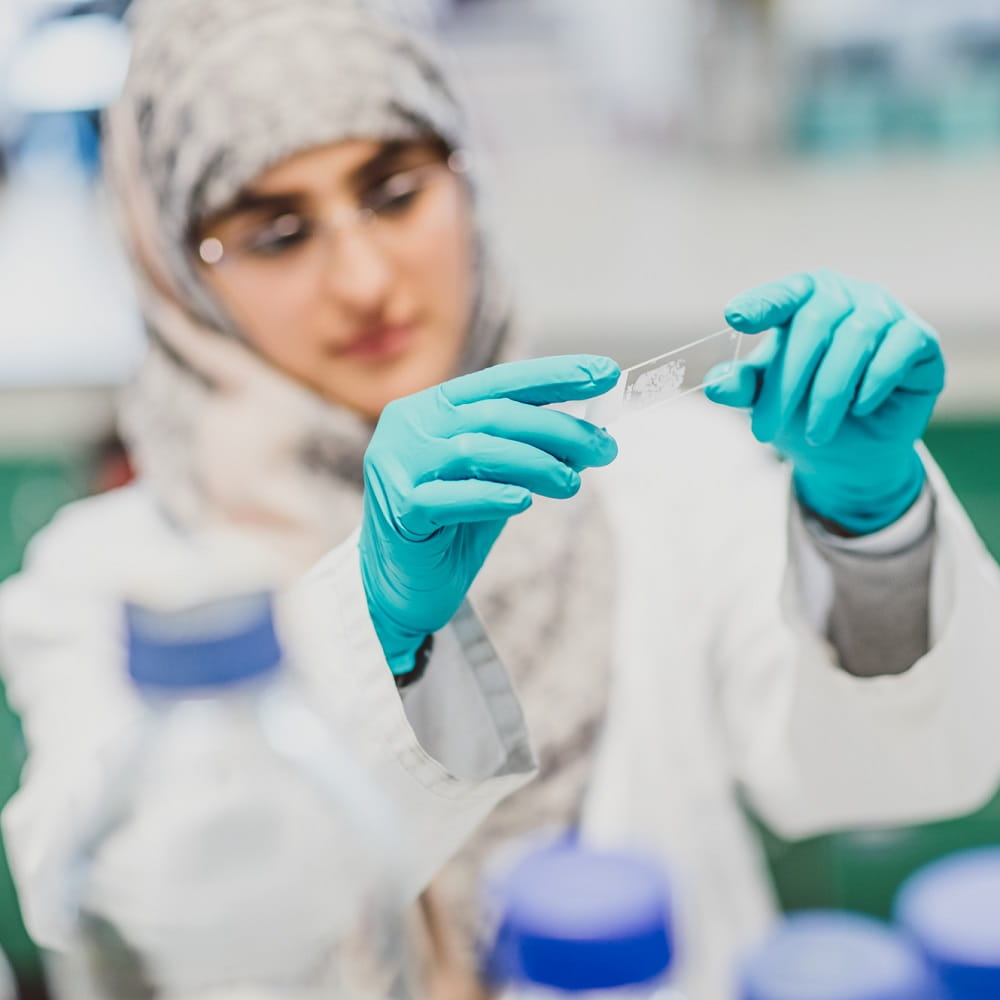 Woman wearing green gloves holding up a microscope slide