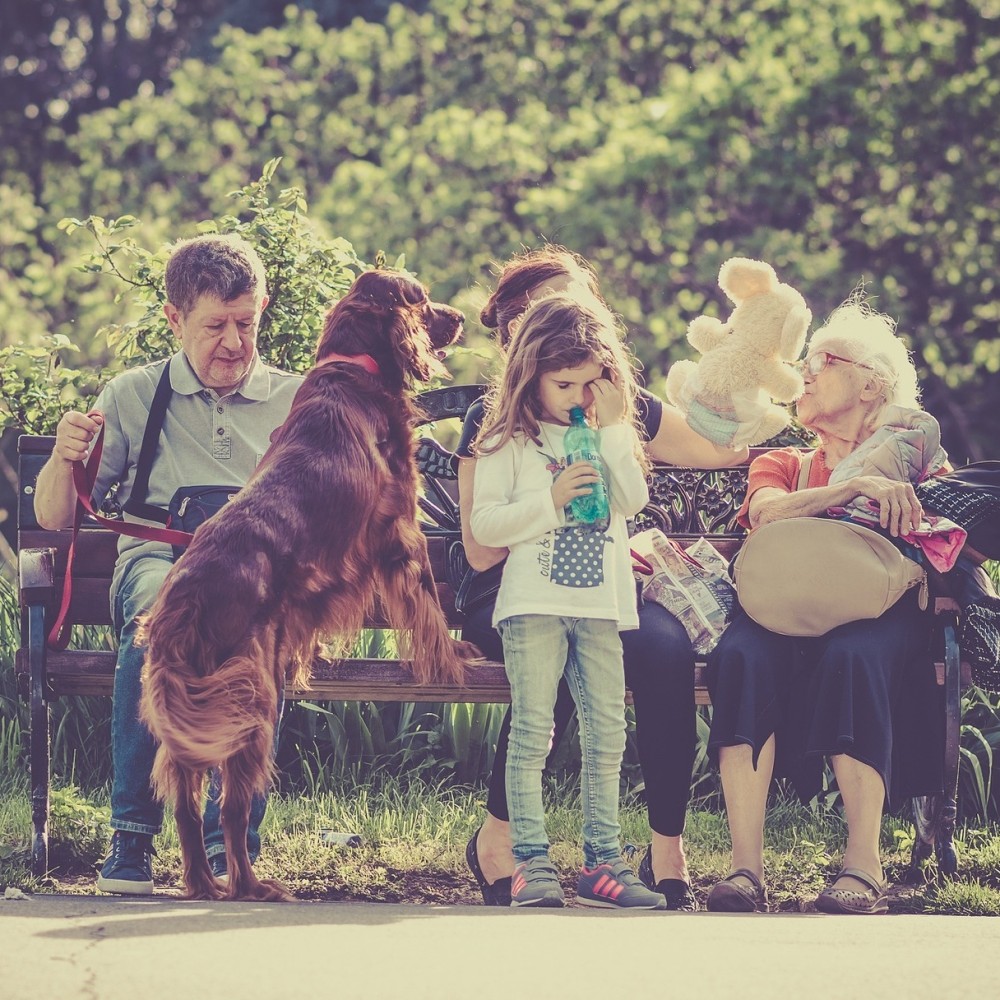 A man and two women of various ages sitting on a bench outside. A young girl stands in front of them holding a drink, a large dog is leaping up next to her.