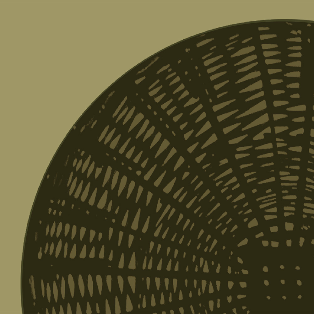 Creel 3 cover art