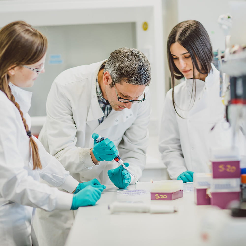 Researchers in a lab