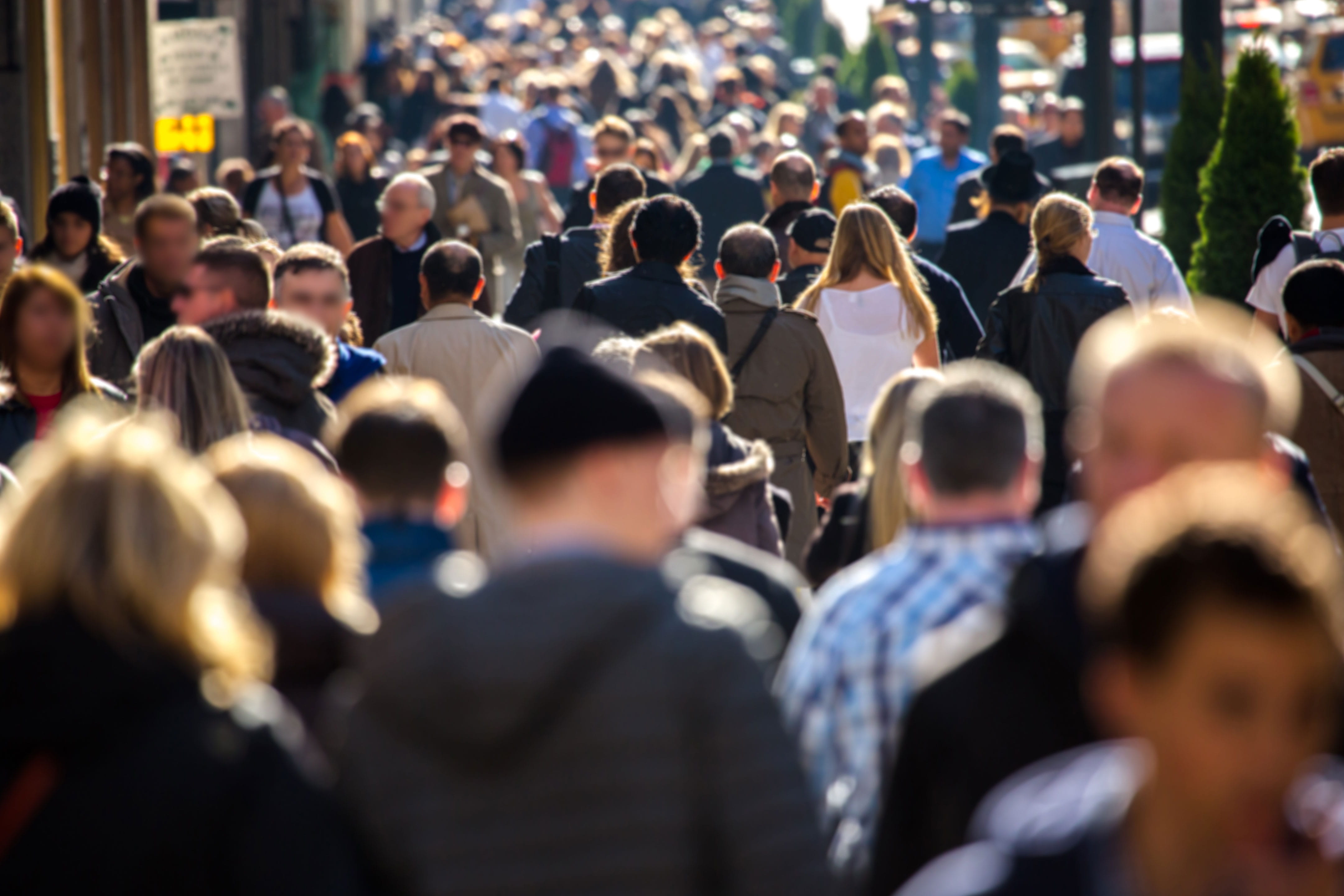 crowd in street