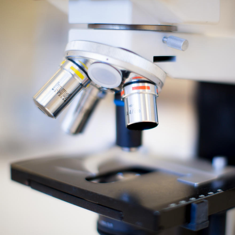 Biology science equipment in the lab