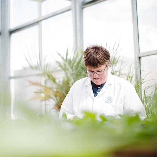 Researcher in greenhouse labs
