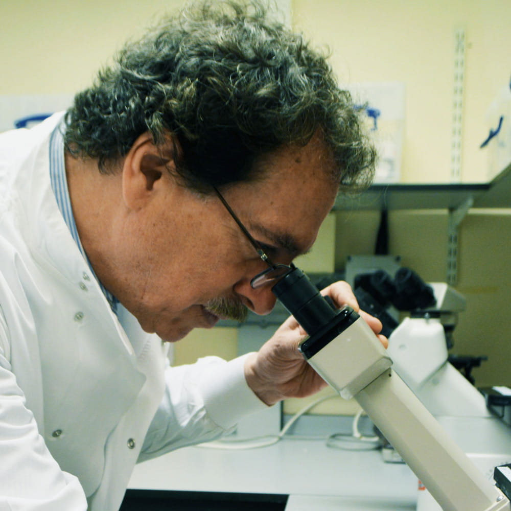 Professor Nelson Fernandez