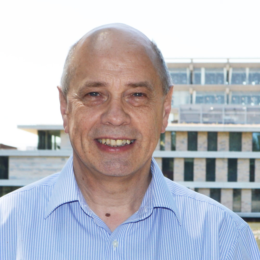 Professor Ian Colbeck