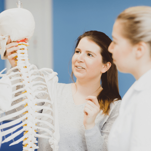 BSc (Hons)  Human Biology