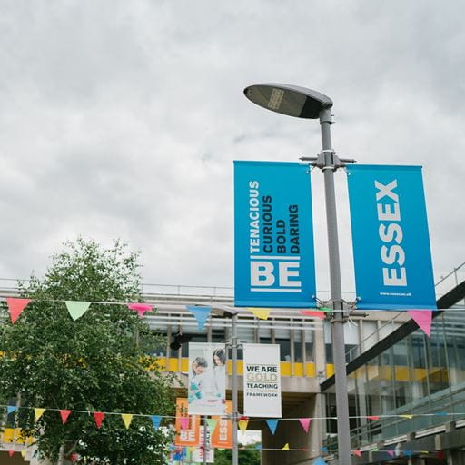 Two vertical blue banners, the left says "Be Tenacious, Curious, Bold, Daring" and the right says "Essex". There is a grey sky, trees and the top of a building in the background.