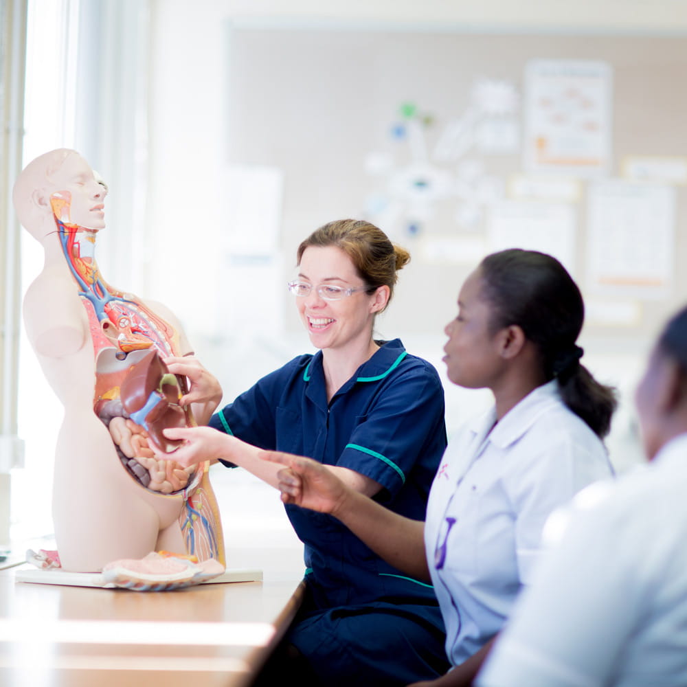 Two students watching a member of staff talk through the human anatomy using a model showing the internal organs