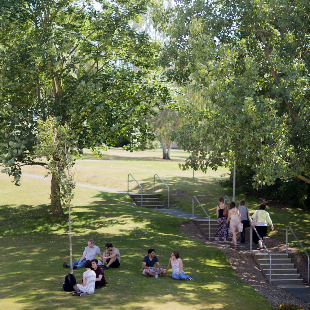 Small groups of people sitting outside on grass with trees in the background. To the right some more people are walking up some concrete steps.