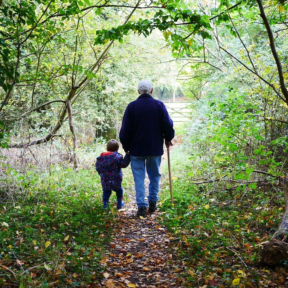 An old man holding a walking stick is walking along a tree-lined path towards a gate, holding the hand of a small boy walking next to him in a puffy coat and wellington boots. 