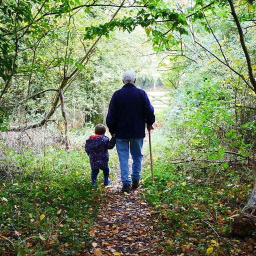 An old man holding a walking stick is walking along a tree-lined path towards a gate, holding the hand of a small boy walking next to him in a puffy coat and wellington boots. 