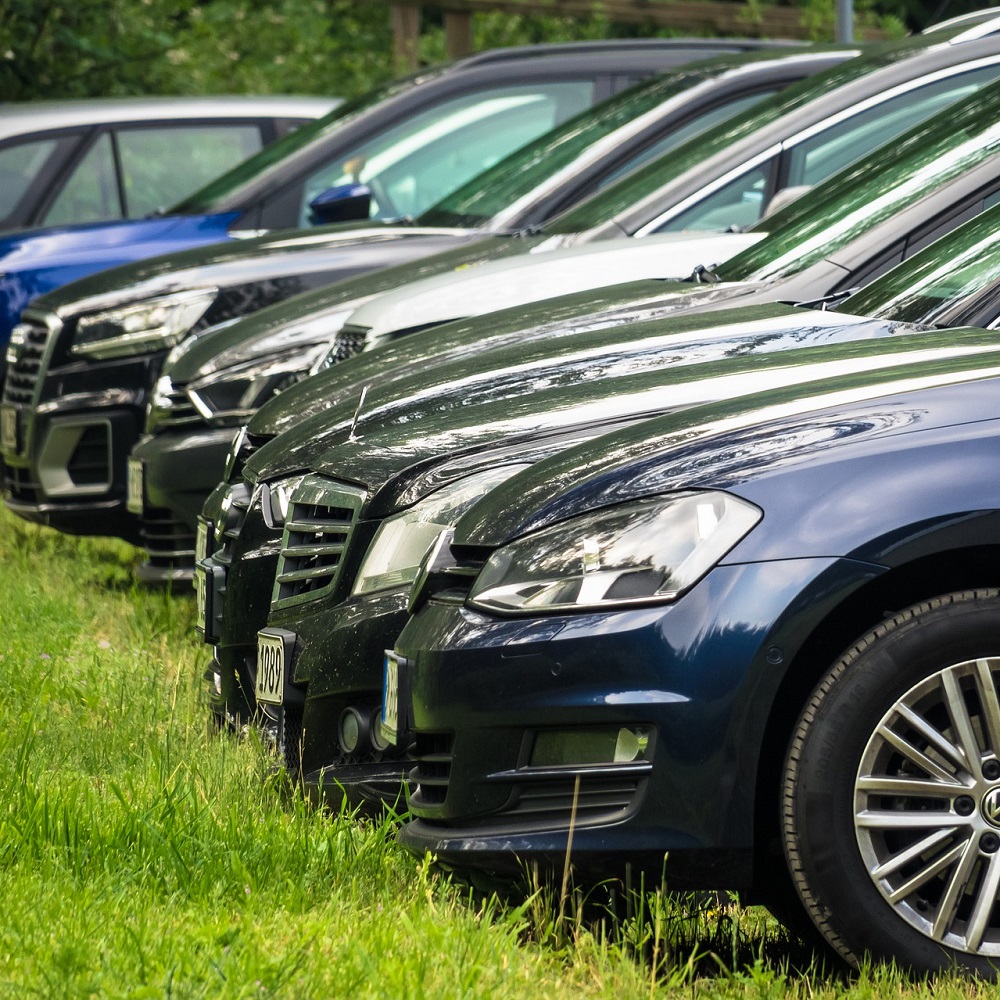 A side-on shot of a row of cars, of various makes and models, parked on grass.