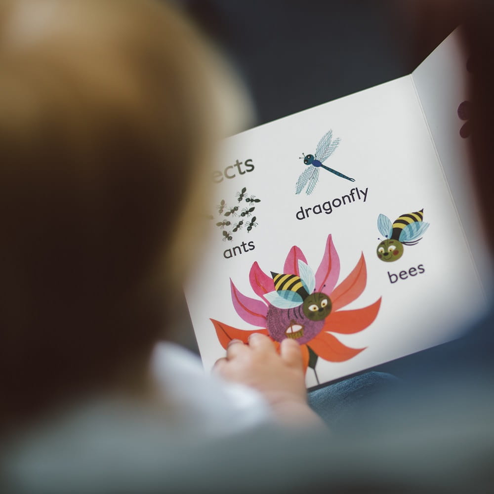 An over-the-shoulder shot of a baby looking at a picture book with the words "ants", "dragonfly", and "bees", next to their respective pictures.