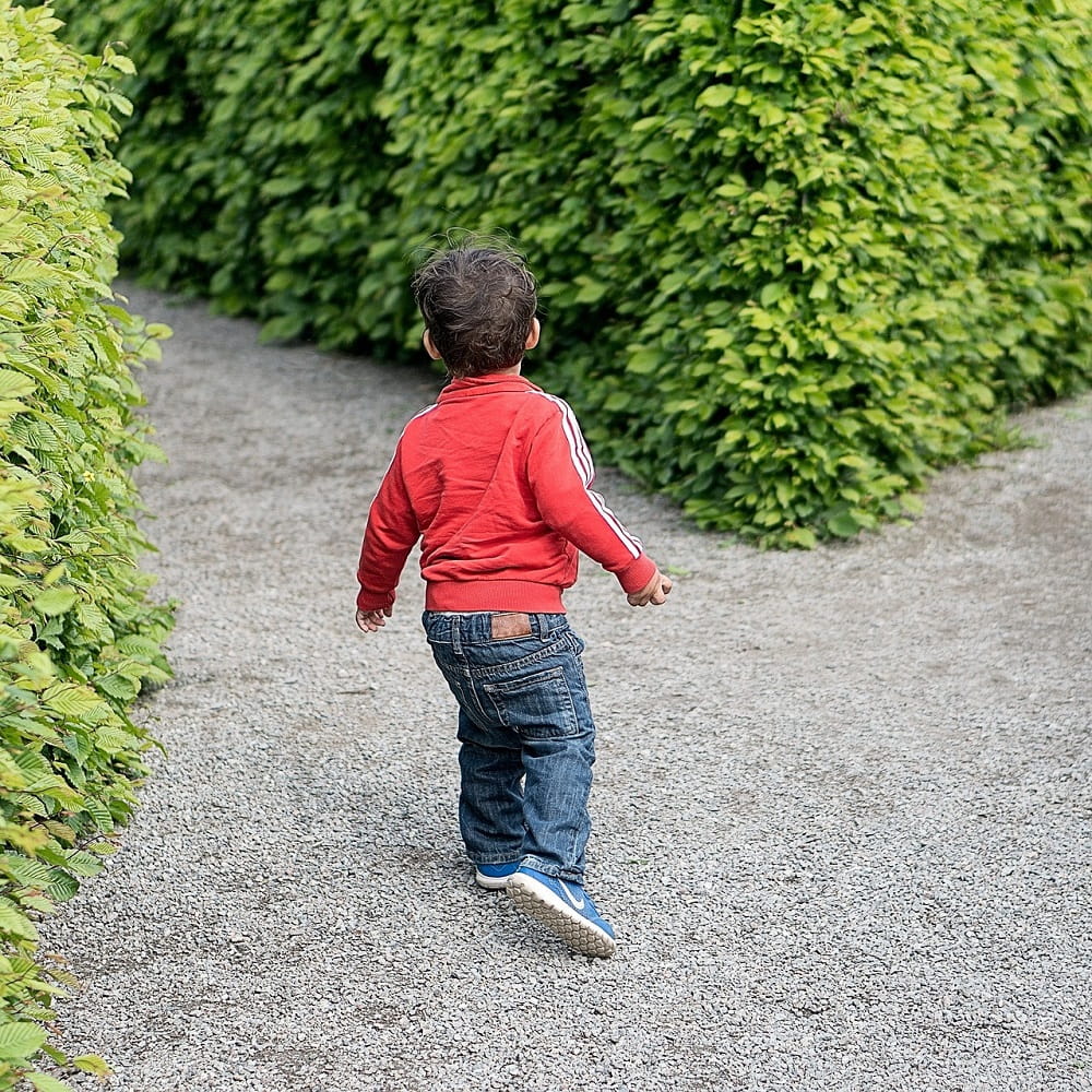 A small child, facing away from the camera, moving to turn down a path on the left instead of a path visible to the right.
