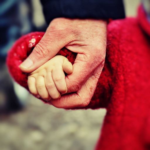 A toddler, their arm in a red coat, holding an adult's hand.