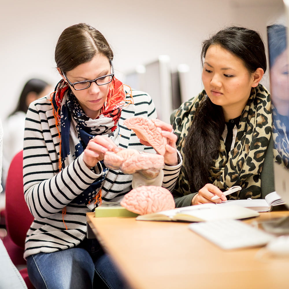 PhD Refugee Care
