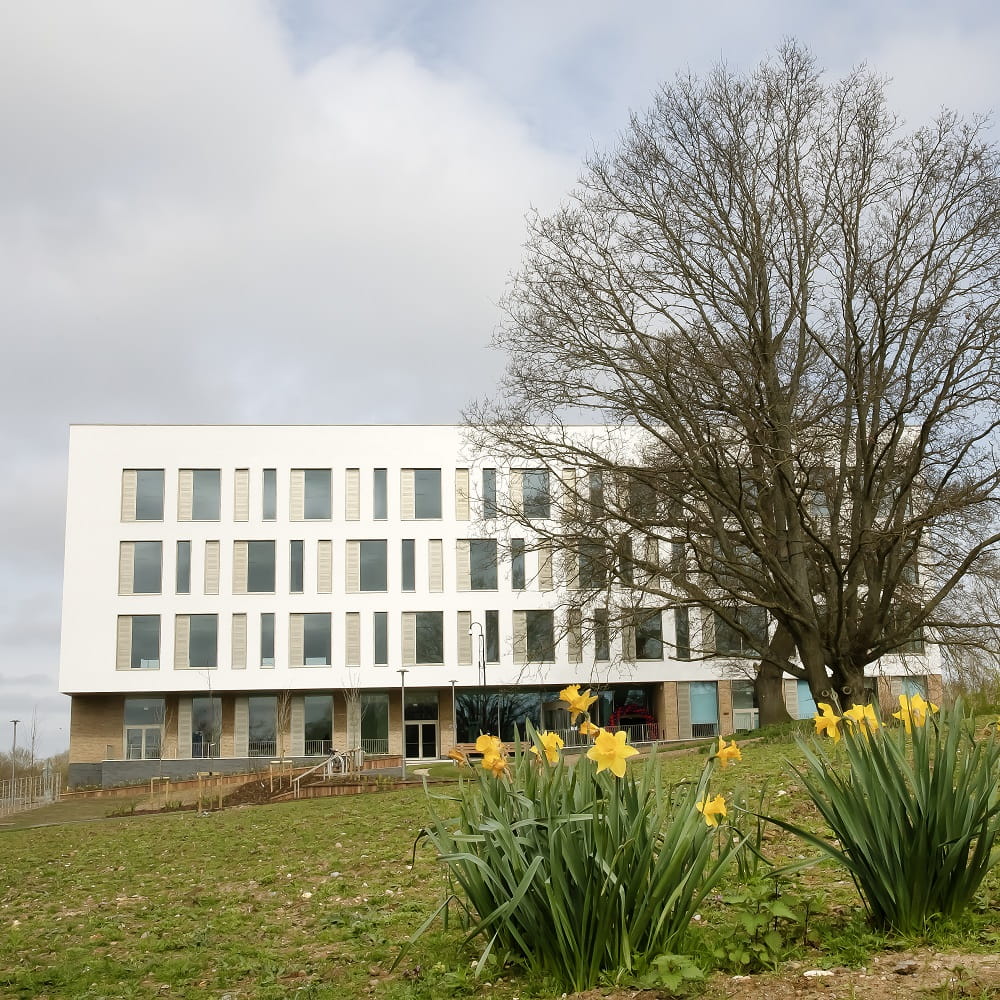 An outdoor shot of the Health, Wellbeing and Care Hub, a large white building with lots of windows, a tree is on the right hand side and daffodils are in the foreground.