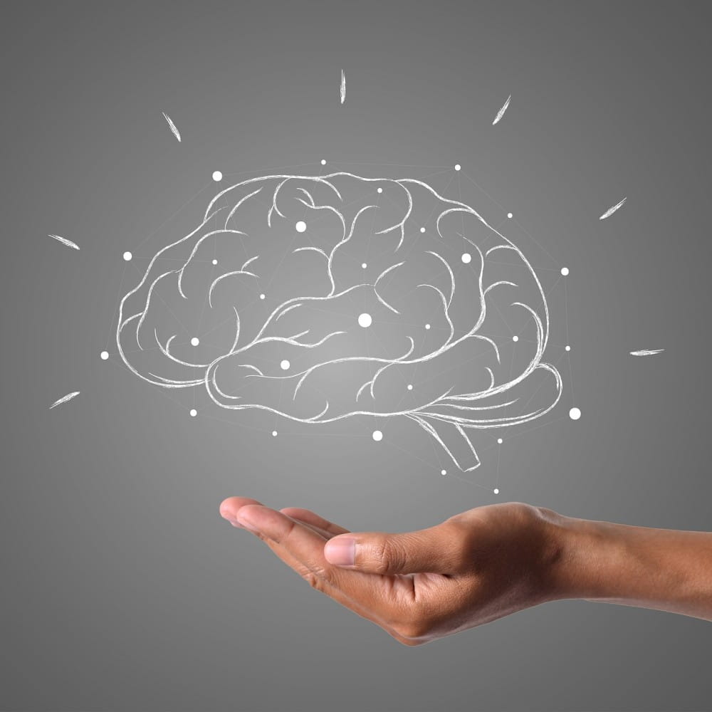 A drawing of a brain in white on a grey background, with a hand underneath with the palm raised up.