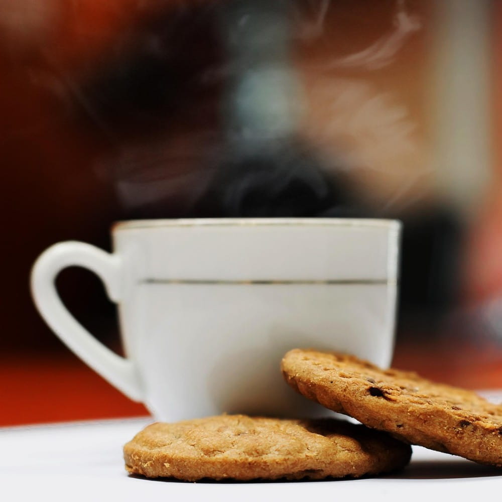 A white teacup with steam rising from the lip, with two biscuits in front of it.