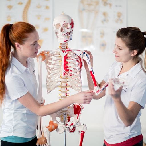 Two women with a model of a human skeleton