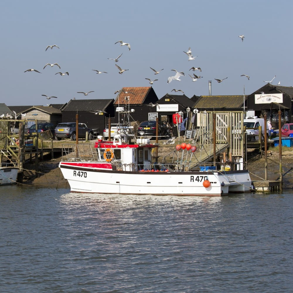 A red and white fishing boat in harbour, with wooden huts in the background and seagulls in the sky.